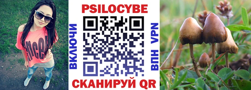 закладки Шумерля Псилоцибиновые грибы Psilocybine cubensis
