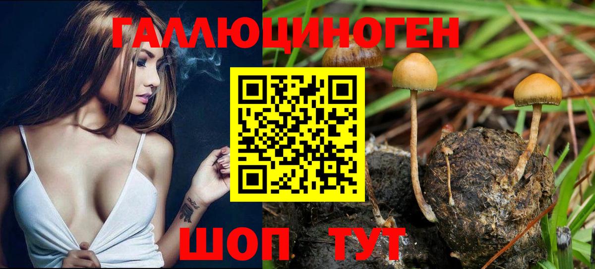 Псилоцибиновые грибы GOLDEN TEACHER Шумерля